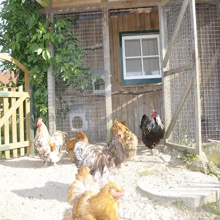 Ferienwohnung Mittelangeln * Mittelangeln